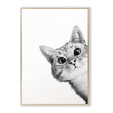 CatArt™ - Creëer een mooie en speelse sfeer! - Azora