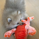 FurryPal™ - Eindeloos plezier voor je harige vriend - Azora