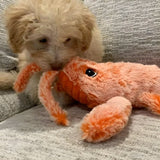 FurryPal™ - Eindeloos plezier voor je harige vriend - Azora