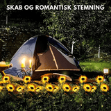 SunBloom™ – Få din have til at blomstre & nyd stemningsfulde aftener! - Azora