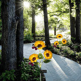 SunBloom™ – Få din have til at blomstre & nyd stemningsfulde aftener! - Azora